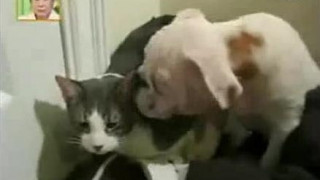 ❤❤여권위조pf-seoul@bk.ru한국여권위조❤ ❤❤여권위조pf-seoul@bk.ru한국여권위조❤