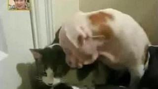 ❤❤여권위조여권위조pf-seoul@bk.ru한국여권위조여권위조❤ ❤❤여권위조여권위조pf-seoul@bk.ru한국여권위조여권위조❤