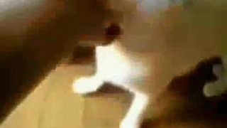 ❤❤전자여권위조pf-seoul@bk.ru한국전자여권위조❤ ❤❤전자여권위조pf-seoul@bk.ru한국전자여권위조❤