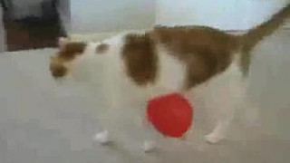 ❤❤여권브로커여권브로커pf-seoul@bk.ru한국여권브로커여권브로커❤ ❤❤여권브로커여권브로커pf-seoul@bk.ru한국여권브로커여권브로커❤