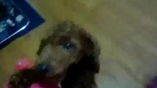 ❤❤전자여권위조여권제작pf-seoul@bk.ru한국전자여권위조여권제작❤ ❤❤전자여권위조여권제작pf-seoul@bk.ru한국전자여권위조여권제작❤