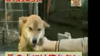 ❤❤여권위조여권 위조여권위조pf-seoul@bk.ru한국여권위조여권 위조여권위조❤ ❤❤여권위조여권 위조여권위조pf-seoul@bk.ru한국여권위조여권 위조여권위조❤