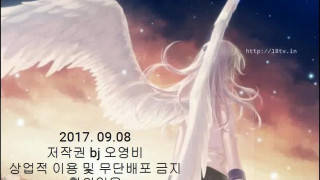 BJ_17090909 BJ_17090909