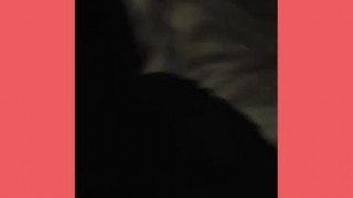 C part 1:
With C, a shy foreign model and student. Teaser bj video. Reblog and like ?