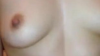 ジンゴロ ジンゴロ