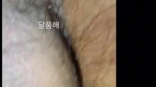 ジンゴロ ジンゴロ