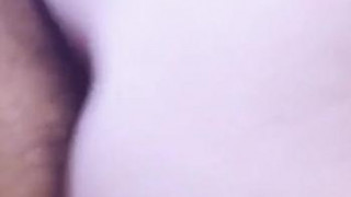 ジンゴロ ジンゴロ