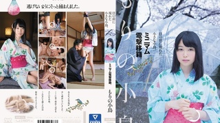 目の前に現れた小さな小鳥。ミニマム電撃移籍。 もりの小鳥 MUM-316 目の前に現れた小さな小鳥。ミニマム電撃移籍。 もりの小鳥 MUM-316