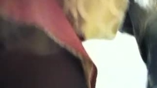 南韓地鐵尾隨抄底偷拍美腿短裙~55 南韓地鐵尾隨抄底偷拍美腿短裙~55