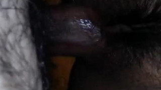 tittyandass tittyandass