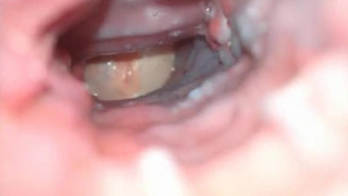 人之初 性本善 人之初 性本善