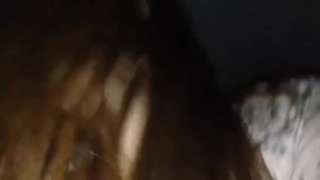 撿屍夜不要不要 撿屍夜不要不要