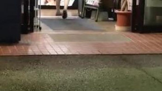 好みの素人 好みの素人