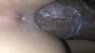 One Playful Couple One Playful Couple