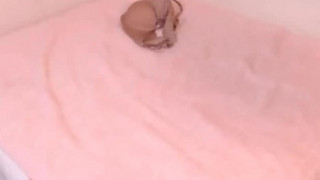 캔티비 미유 캔티비 미유