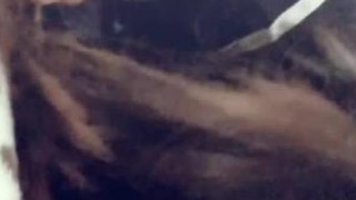 SendNudeSG SendNudeSG