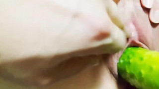 섹파원정대 섹파원정대