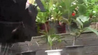 막 주는 썅년만 연락해 막 주는 썅년만 연락해