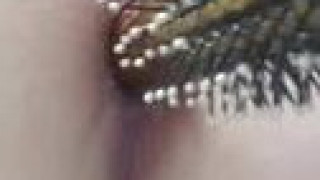 머리빗는 빗으로 봉지넣었다 똥꼬 넣었다 개더러운년 머리빗는 빗으로 봉지넣었다 똥꼬 넣었다 개더러운년