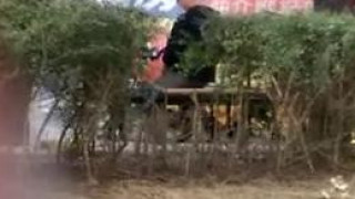 제목 없음 제목 없음