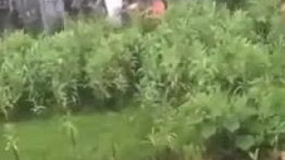 这就是现在的中国共产党吗? 这就是现在的中国共产党吗?