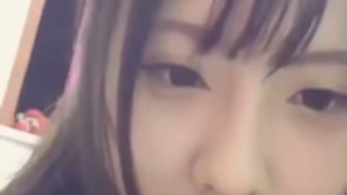 怎麼會有那麼可愛的小貓咪在這! 怎麼會有那麼可愛的小貓咪在這!