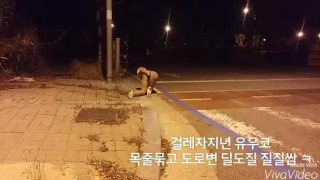 2016년 11월15일 야노 동영상 도로가에서 목줄걸고 딜도질후 질질싸기 걸레자지년은 아무데서나 쑤시고 싼답니다 만나면 따귀때리고 자빠뜨린다음에 씹창을내주세요 ㅋㅋㅋ 아 이건 정말 힘들게 찍었네요 교차로라 차들어오면 직빵걸립니다 Yes yes, I love this.