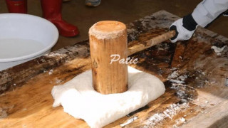 섹파원정대 섹파원정대