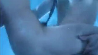 제목 없음 제목 없음