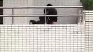 高中情侶在陽台開戰 高中情侶在陽台開戰