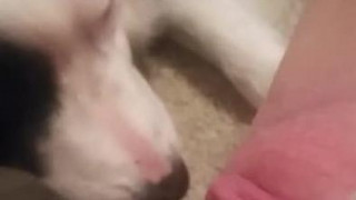 이 썅년이~~~~ 이 썅년이~~~~