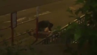 大陸學生香港巴士站野戰 大陸學生香港巴士站野戰