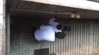 高中生好腰力 高中生好腰力