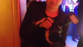 下面那条白线是耳机？