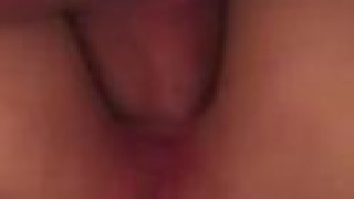 ジンゴロ ジンゴロ