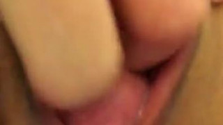 ジンゴロ ジンゴロ