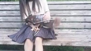 wajyo-ryosyu wajyo-ryosyu