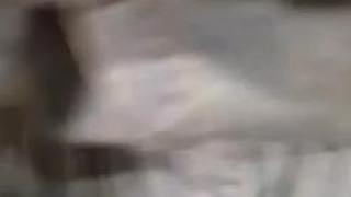 광고 팔로워들 다 자름 광고 팔로워들 다 자름