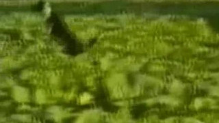 ❤❤전자 여권위조pf-seoul@한국전자 여권위조❤ ❤❤전자 여권위조pf-seoul@한국전자 여권위조❤