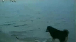 ❤❤여권위조여권위조pf-seoul@한국여권위조여권위조❤ ❤❤여권위조여권위조pf-seoul@한국여권위조여권위조❤