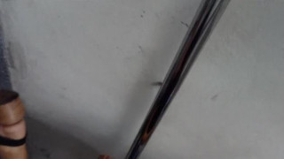 Cheeky Bastard Cheeky Bastard