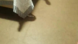 KBJ Korean BJ 2015020407 - 2 KBJ Korean BJ 2015020407 - 2