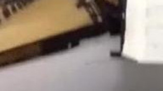 绝逼会玩 绝逼会玩