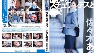 憧れのスチュワーデスと性交 佐々木あき 憧れのスチュワーデスと性交 佐々木あき