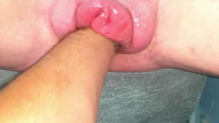 ジンゴロ ジンゴロ