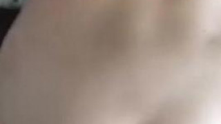 ジンゴロ ジンゴロ