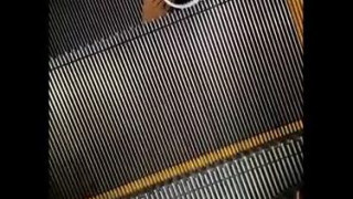 ジンゴロ ジンゴロ