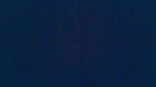 ジンゴロ ジンゴロ