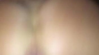 ジンゴロ ジンゴロ