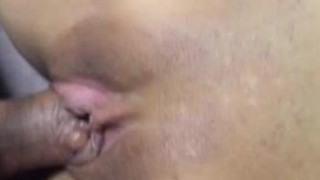 ジンゴロ ジンゴロ